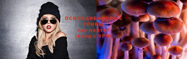 прущие грибы Медвежьегорск