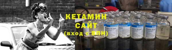 прущие грибы Медвежьегорск