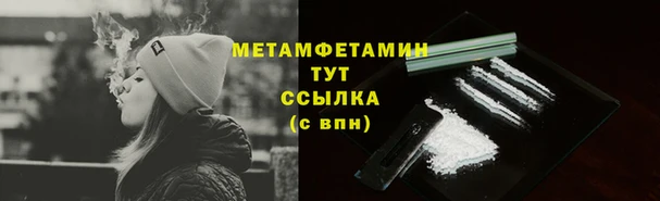 прущие грибы Медвежьегорск