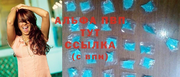 прущие грибы Медвежьегорск