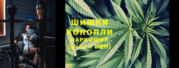 дмт Великий Новгород