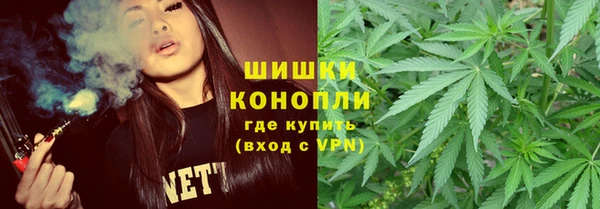 прущие грибы Медвежьегорск