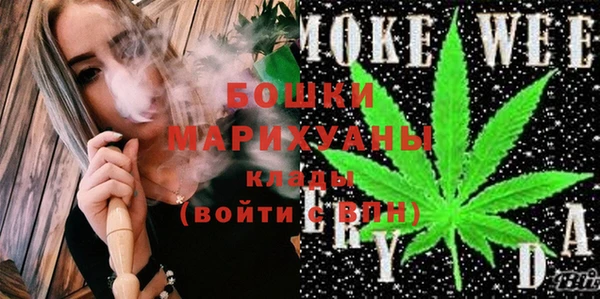 прущие грибы Медвежьегорск