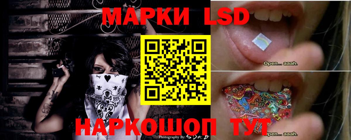 МЕФ Обнинск