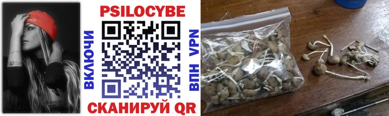 Галлюциногенные грибы мицелий Обнинск