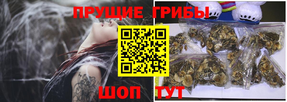 Псилоцибиновые грибы Magic Shrooms  Галлюциногенные грибы Magic Shrooms  Обнинск  Вход с VPN 